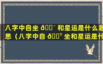 八字中自坐 🌴 和星运是什么意思（八字中自 🌹 坐和星运是什么意思区别）